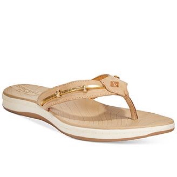 sperry seabrook flip flops
